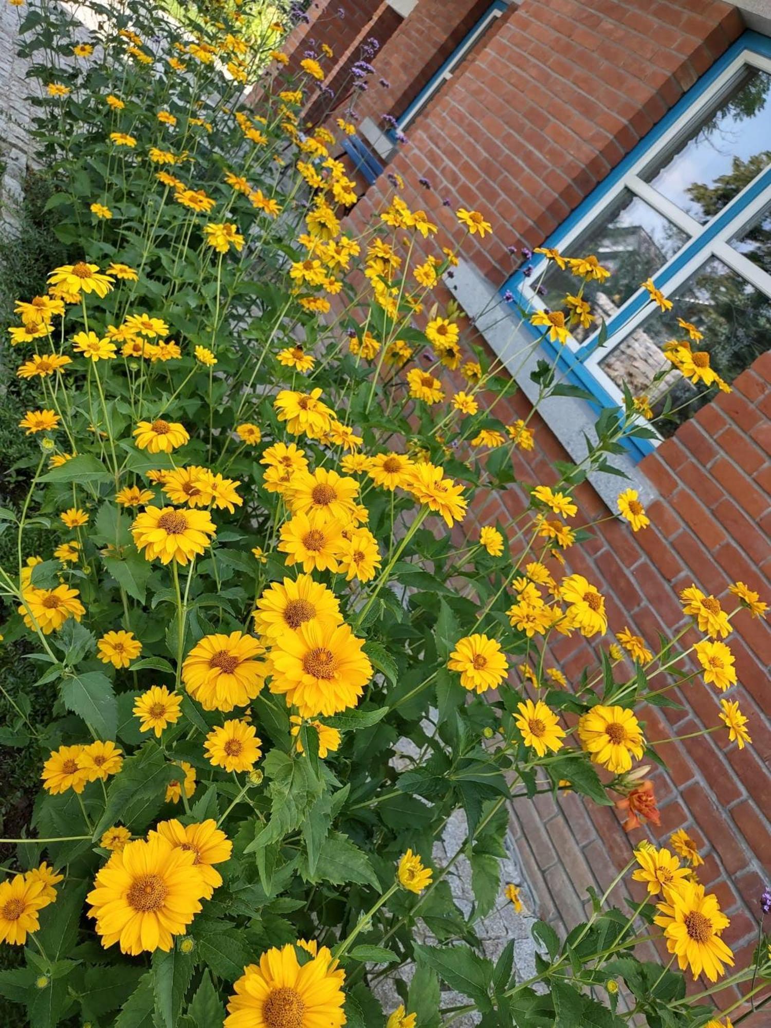 Ferienhaus U Janciow